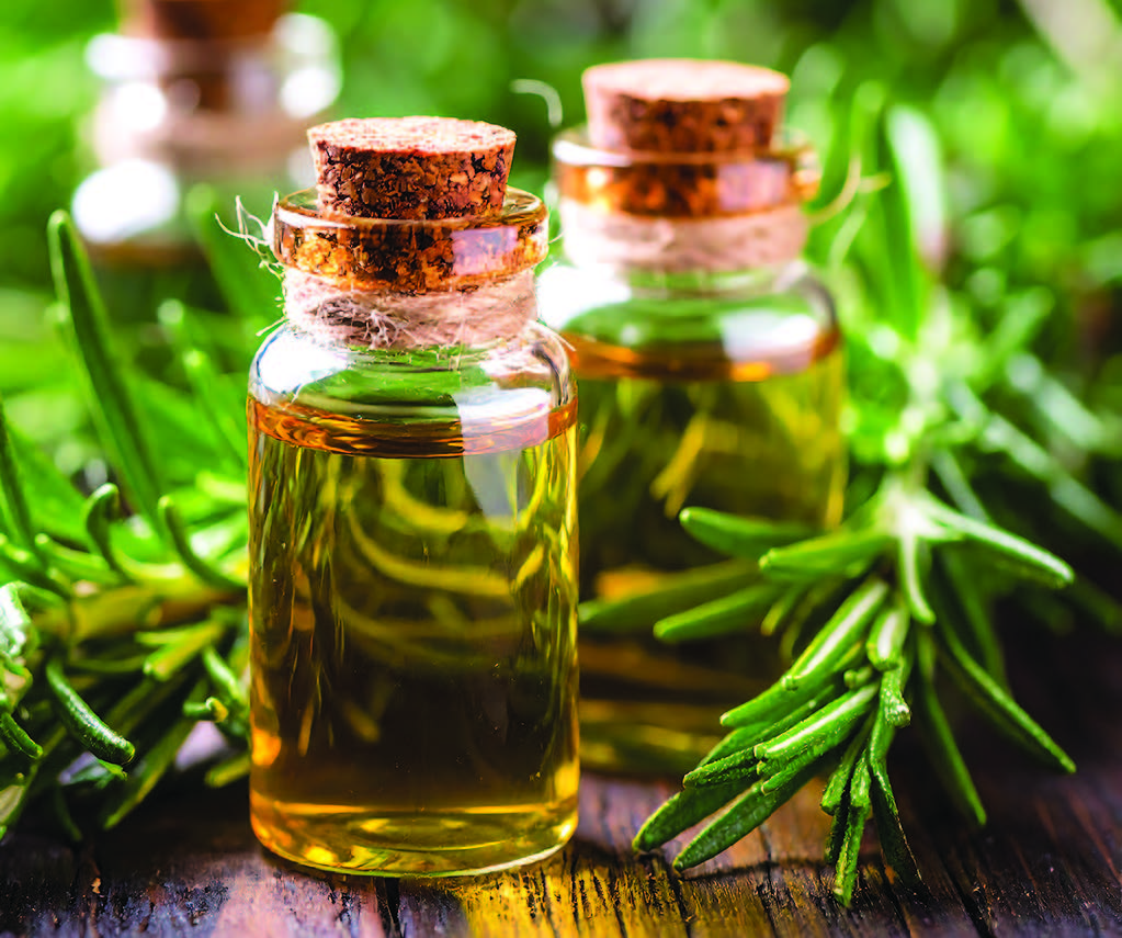 Huile essentielle de romarin à cinéole, alliée naturelle pour stimuler la mémoire et la concentration