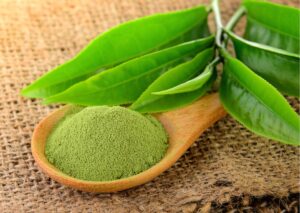 “Masque à l’argile verte et au thé vert pour cuir chevelu gras”