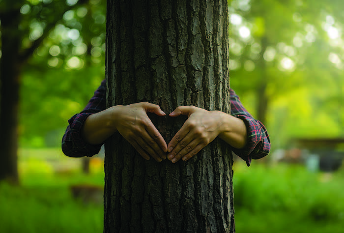 Pratique de la sylvotheraphie en foret, connexion  l'arbre et bien-être émotionnel 