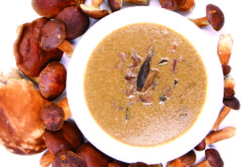 velouté de cèpes au madère